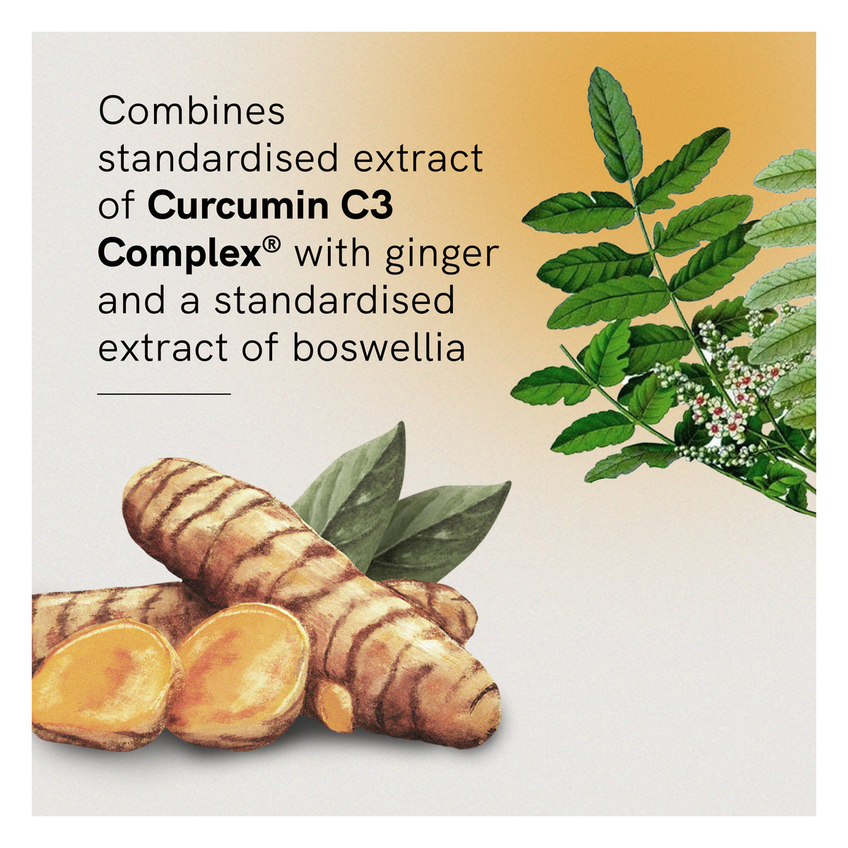 Curcumin Advanced