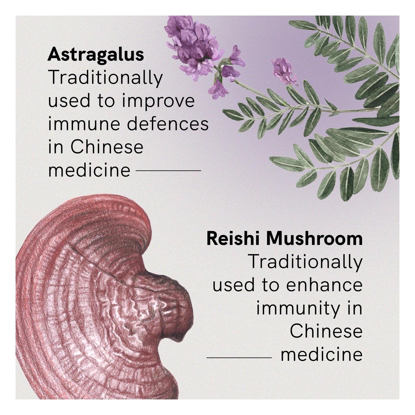 Astra 8 Immune Tonic