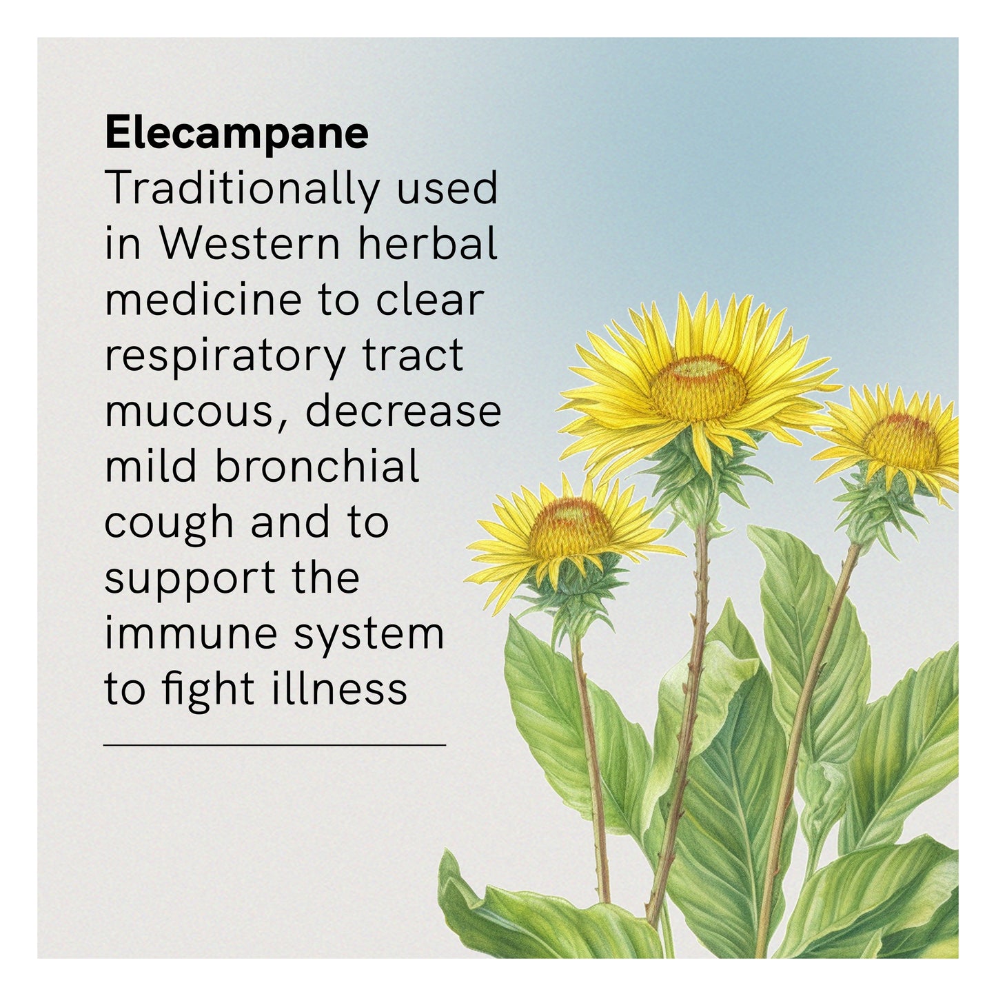 Cough Lung Tonic Liquid