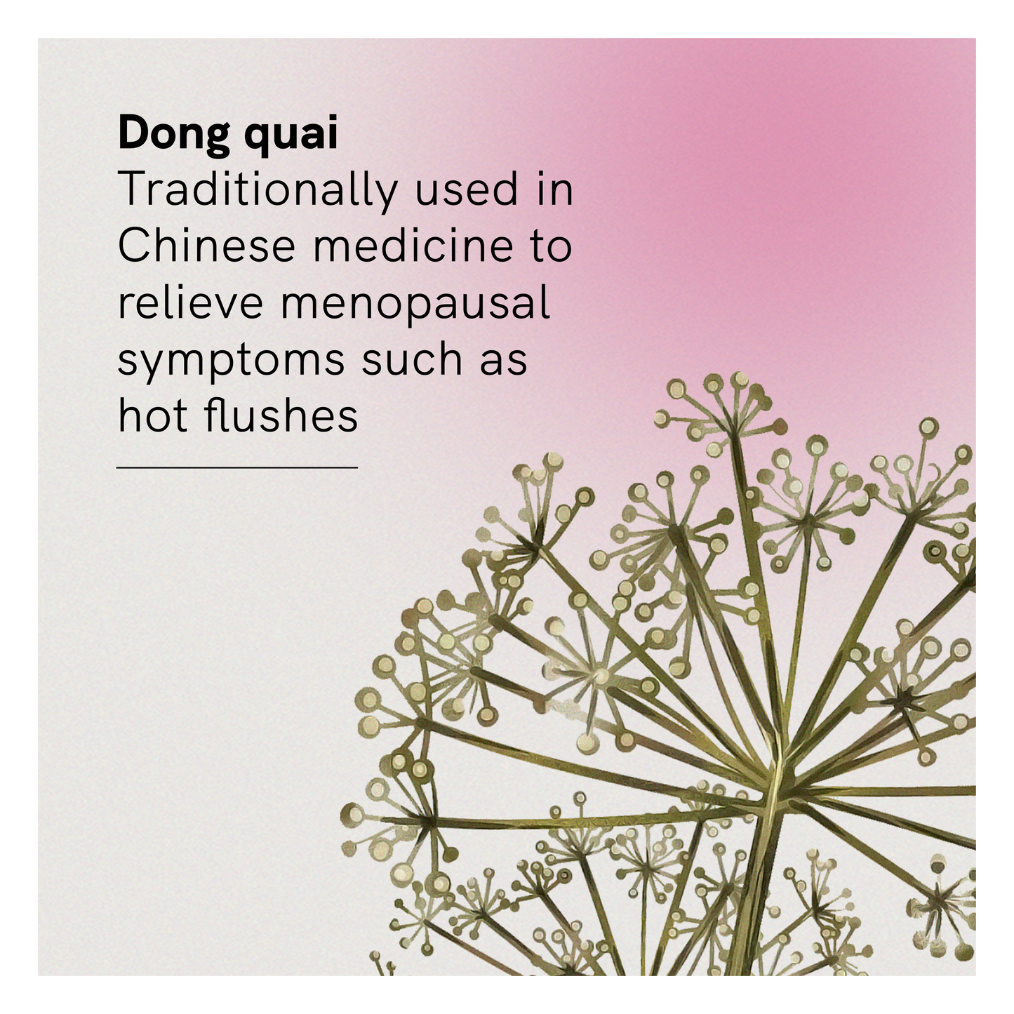 Menopause Heat Relief