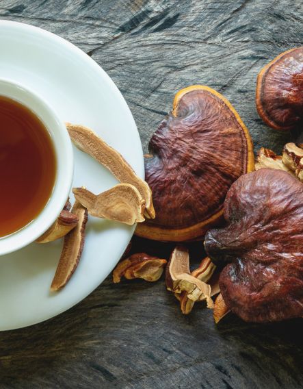 The Ultimate Guide To Reishi