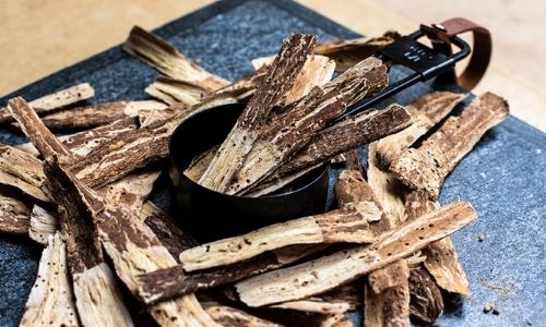 Astragalus root: its traditional uses and benefits